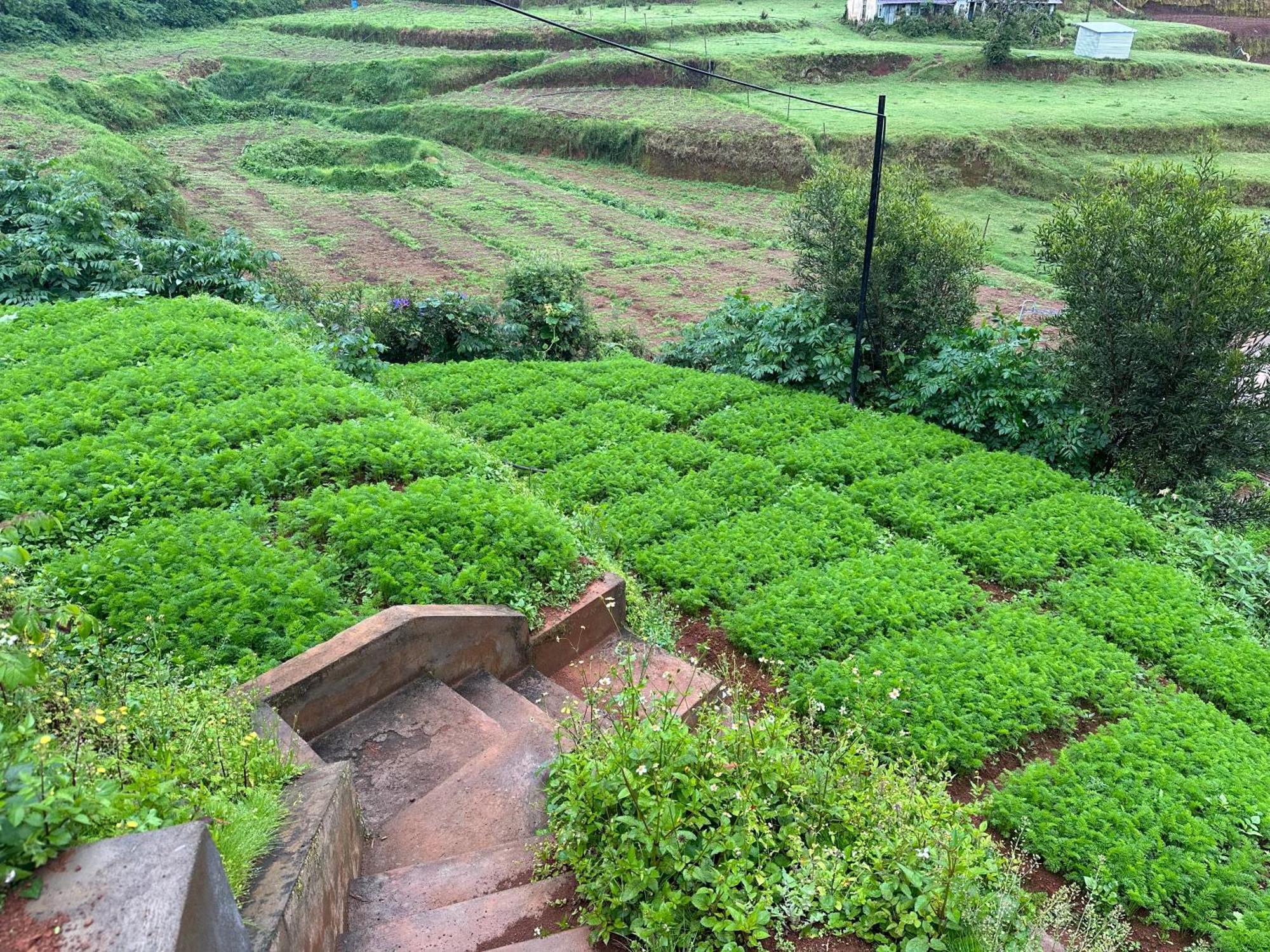 Kanjira House Ooty Luaran gambar
